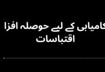 کامیابی کے لیے حوصلہ افزا اقتباسات حوصلہ