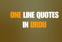 One Line Quotes in Urdu A collection of 30 inspirational one-line Urdu quotes about life, love, strength, growth, and self-worth.