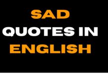 Sad Quotes in English A quote about people changing and the pain of it.
